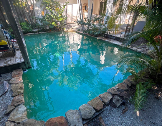 Feely Brothers Pool service c