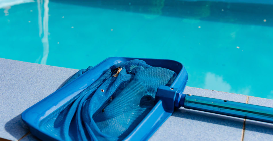 One Time Pool Cleaning (1) One Time Pool Cleaning (1)